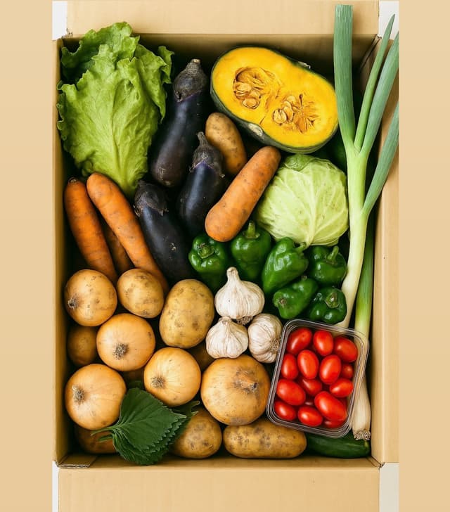 定期パック L サイズ