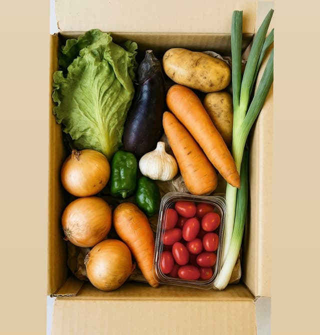 定期パック S サイズ