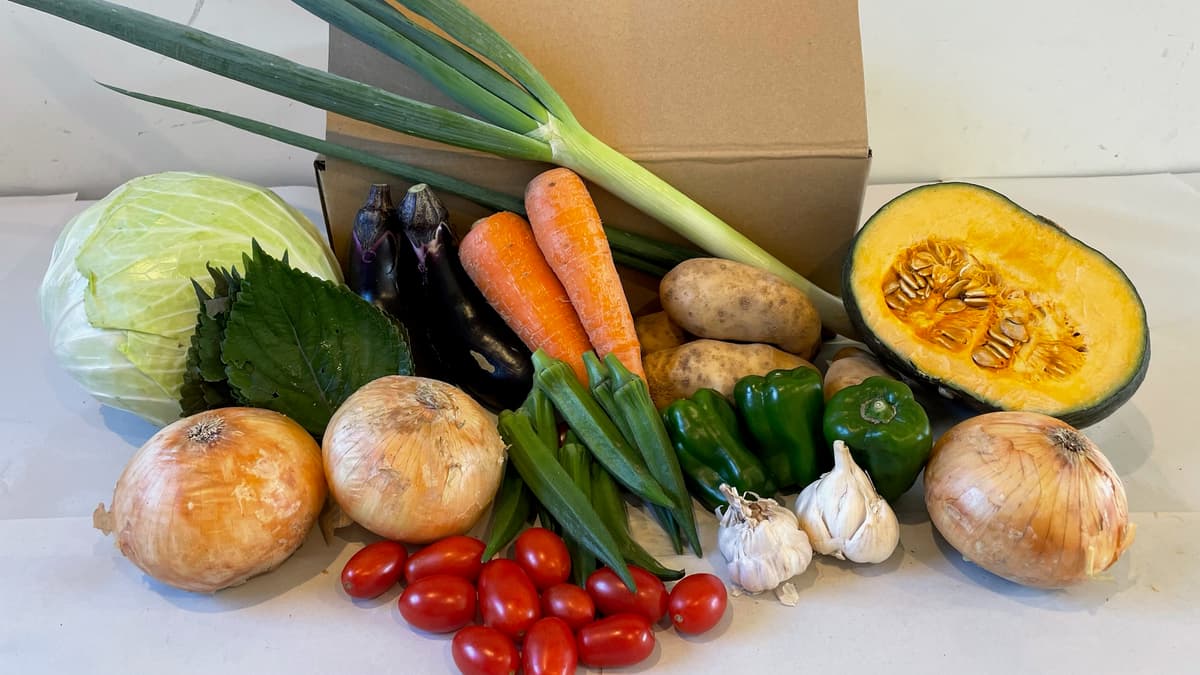 10月のお野菜パック（Mサイズ）