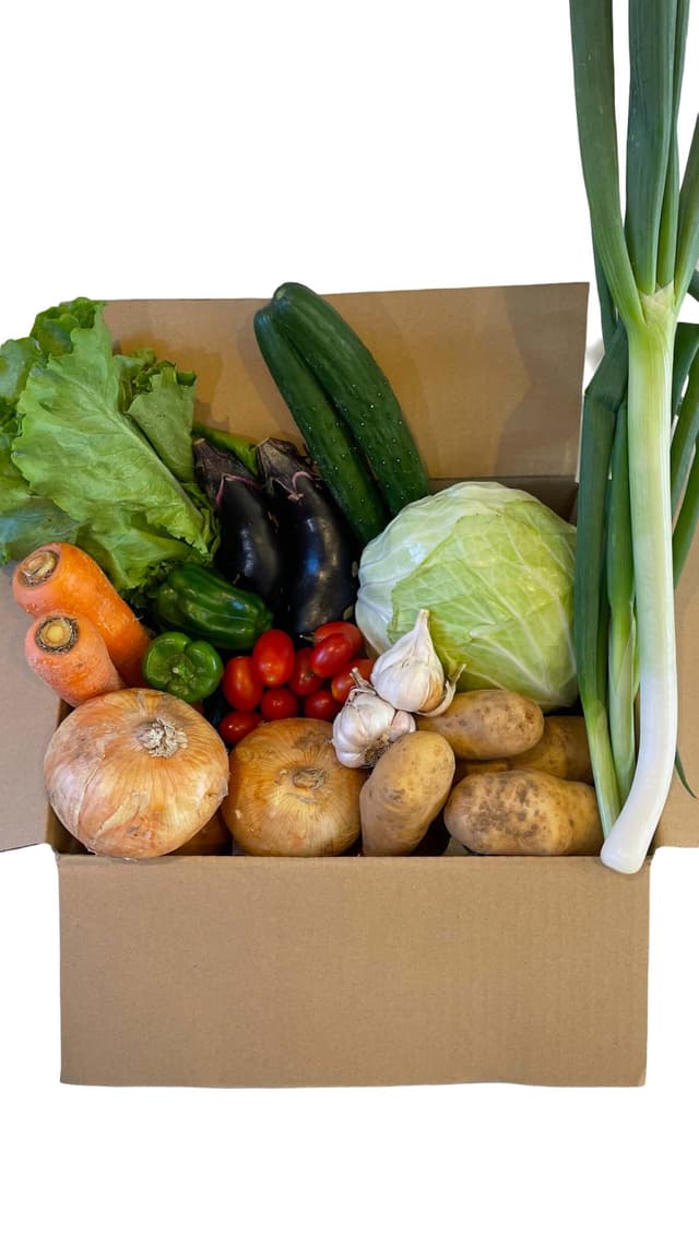 丁寧に梱包された野菜ボックス